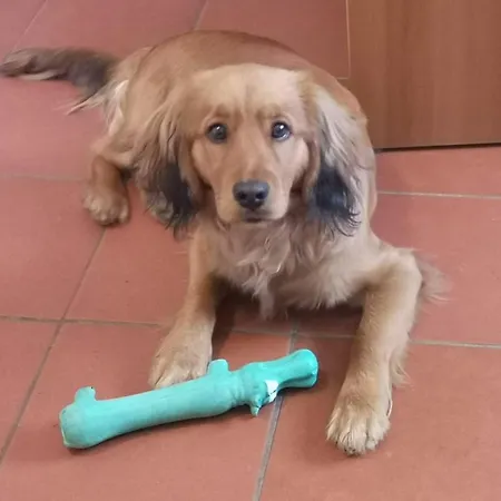 Casa Antica Mosaici Agroturismo