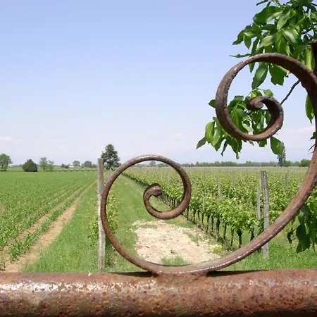 Casa Antica Mosaici Agroturismo Trivignano Udinese