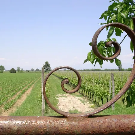 Casa Antica Mosaici Farm stay Trivignano Udinese