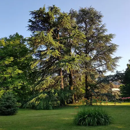 Casa Antica Mosaici Trivignano Udinese