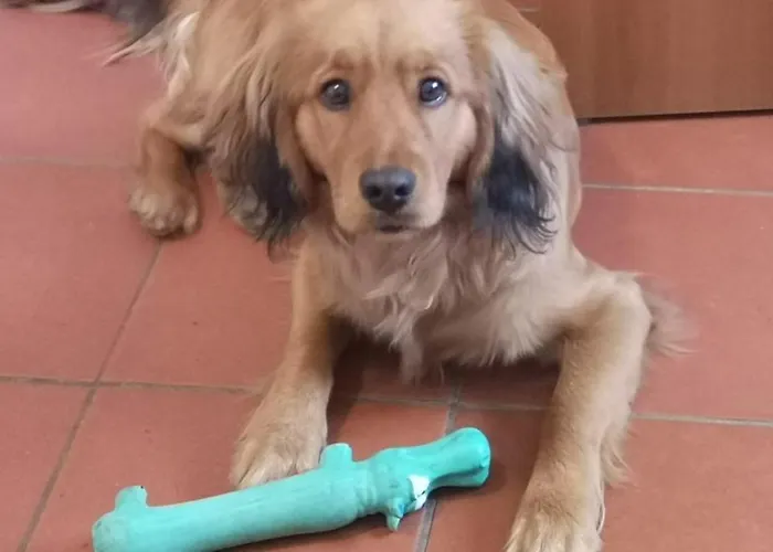 Casa Antica Mosaici Gospodarstwo agroturystyczne