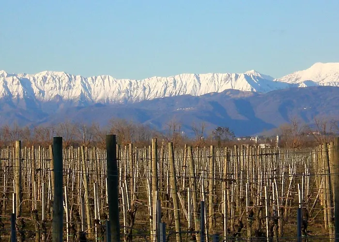 Casa Antica Mosaici * Trivignano Udinese