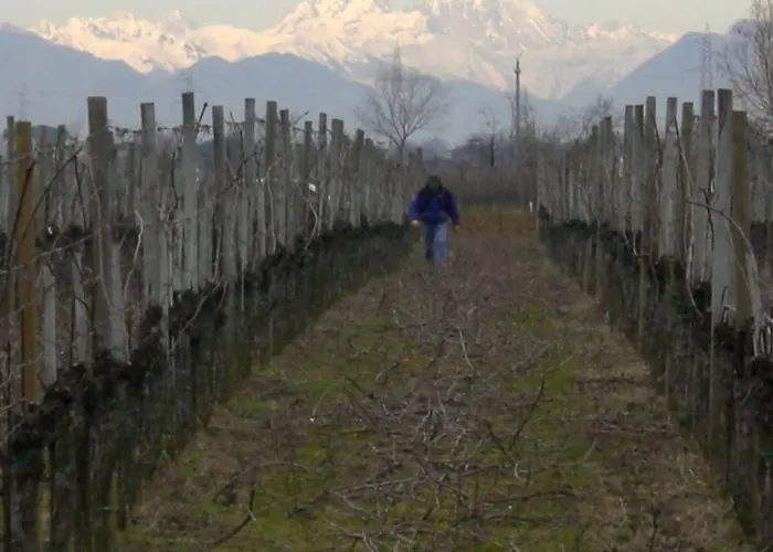 Casa Antica Mosaici Gospodarstwo agroturystyczne *