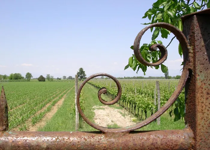Casa Antica Mosaici Gospodarstwo agroturystyczne Trivignano Udinese