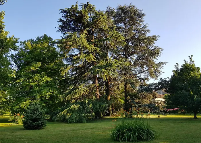 Casa Antica Mosaici Trivignano Udinese
